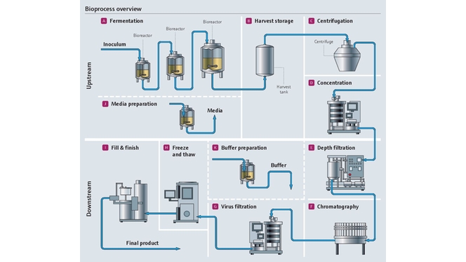 Detailed bioprocess illustration