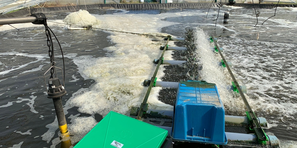 Rendement idéal de l'élevage de crevettes à l'aide d'un système de surveillance en ligne de la qualité de l'eau Surveillance fiable de la qualité de l'eau pour un rendement idéal de l'élevage de crevettes en aquaculture