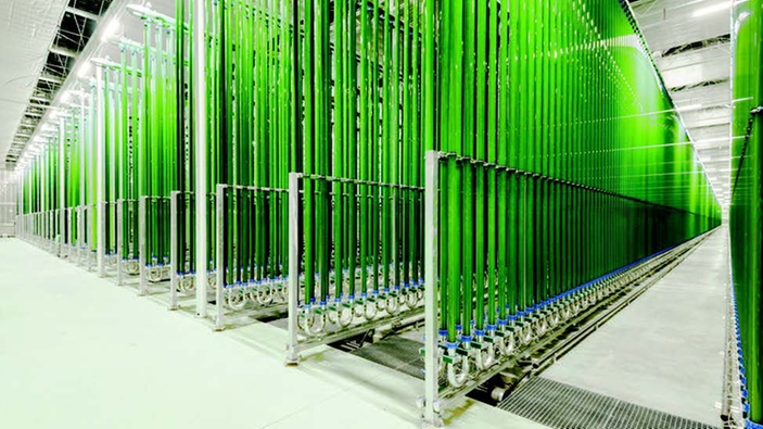 Production industrielle d'algues dans des photobioréacteurs
