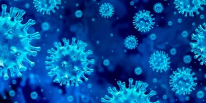Détection du virus SARS Cov-2 dans les eaux usées pour établir des prévisions fiables