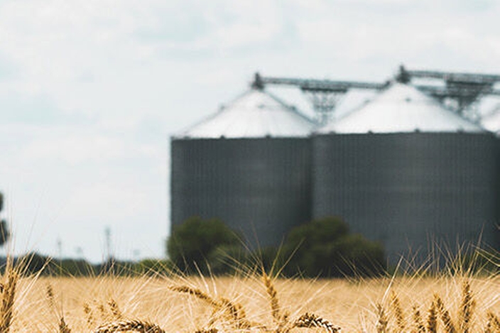 Une installation à silos multiples typique pour le stockage des aliments, par exemple les céréales