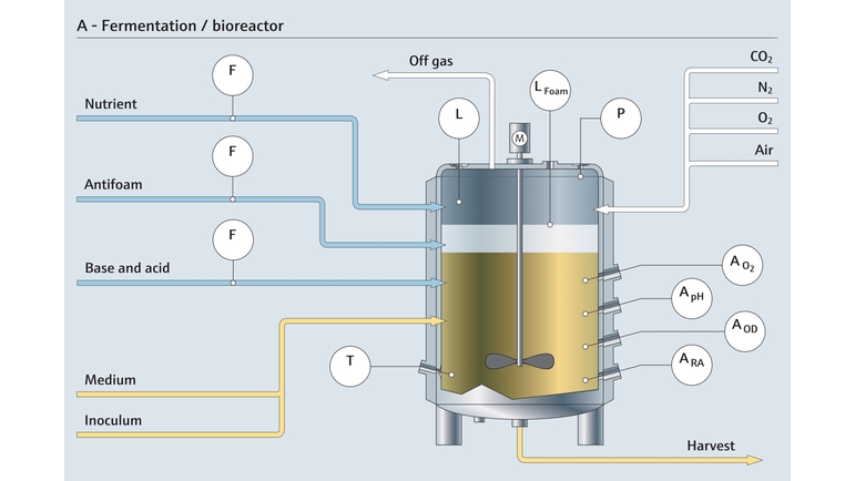Fermentation dans un bioréacteur et les points de mesure correspondants